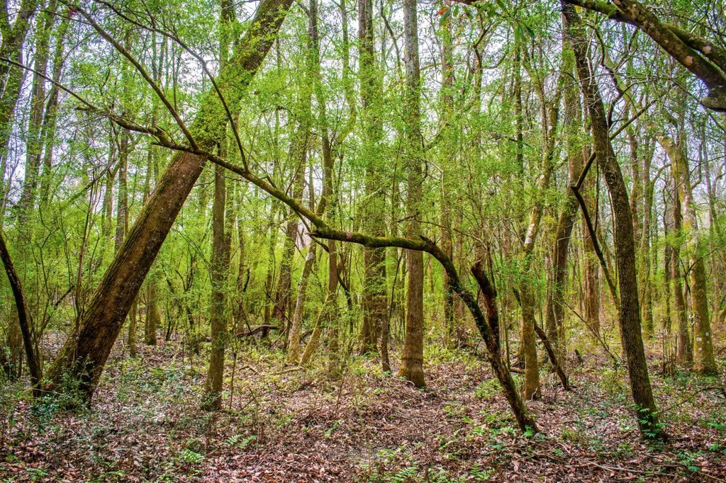 27180 Deer Run Road Opp AL 36467