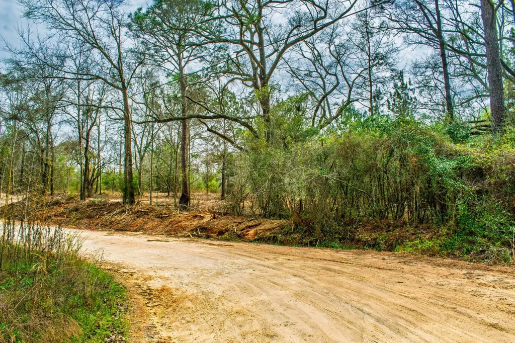 27180 Deer Run Road Opp AL 36467