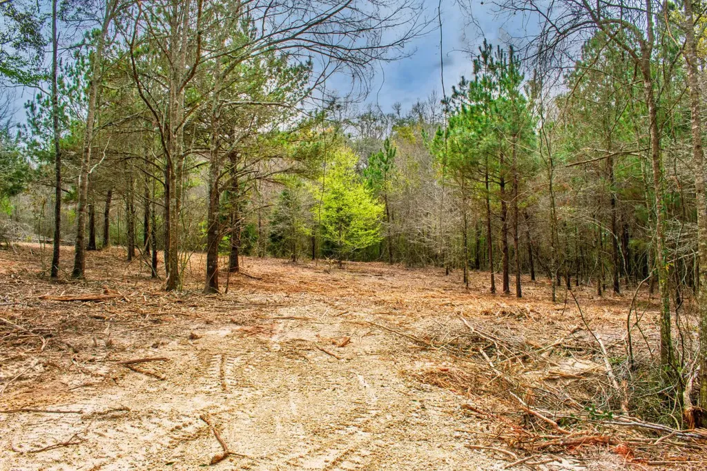 27180 Deer Run Road Opp AL 36467