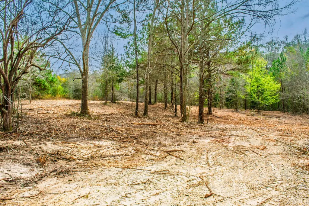 27180 Deer Run Road Opp AL 36467