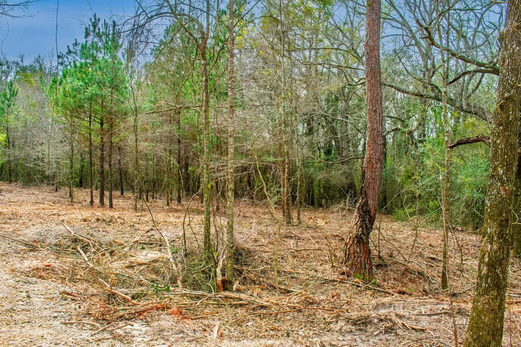 27180 Deer Run Road Opp AL 36467