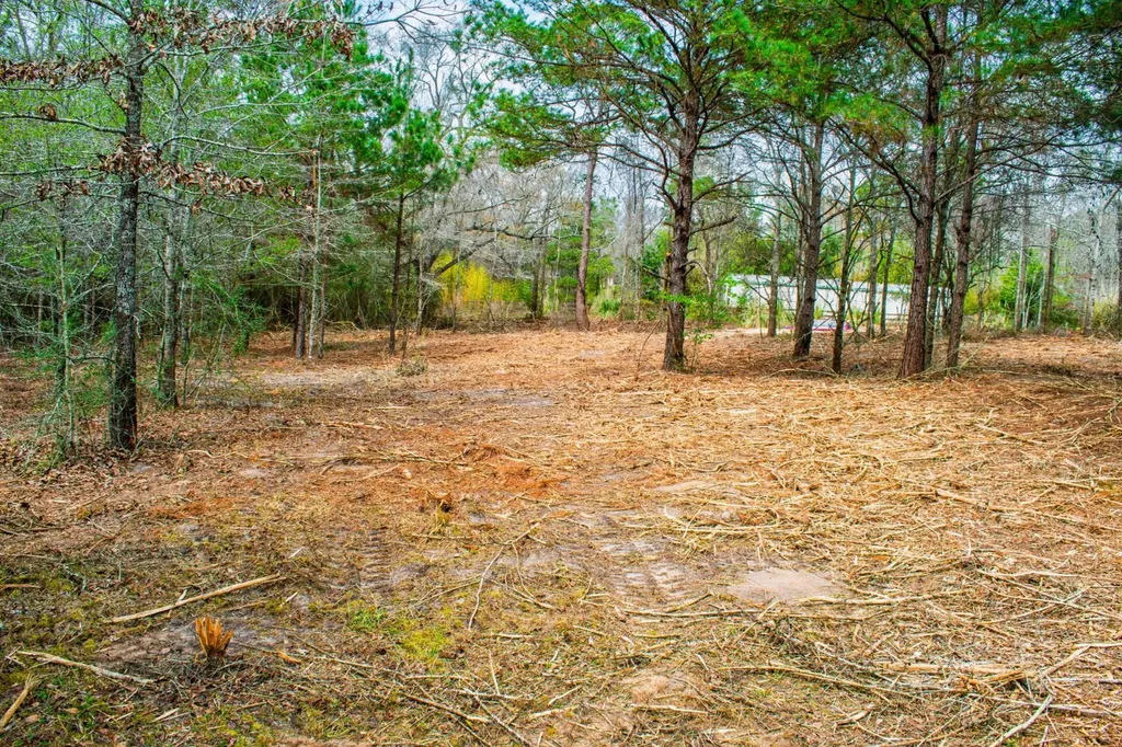 27180 Deer Run Road Opp AL 36467