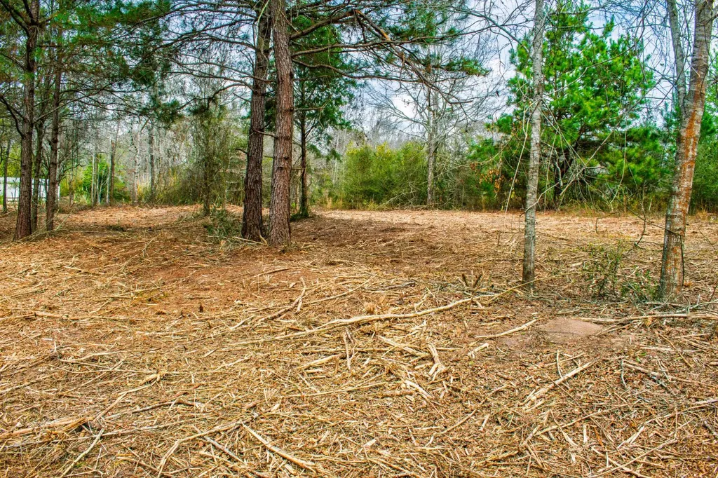 27180 Deer Run Road Opp AL 36467