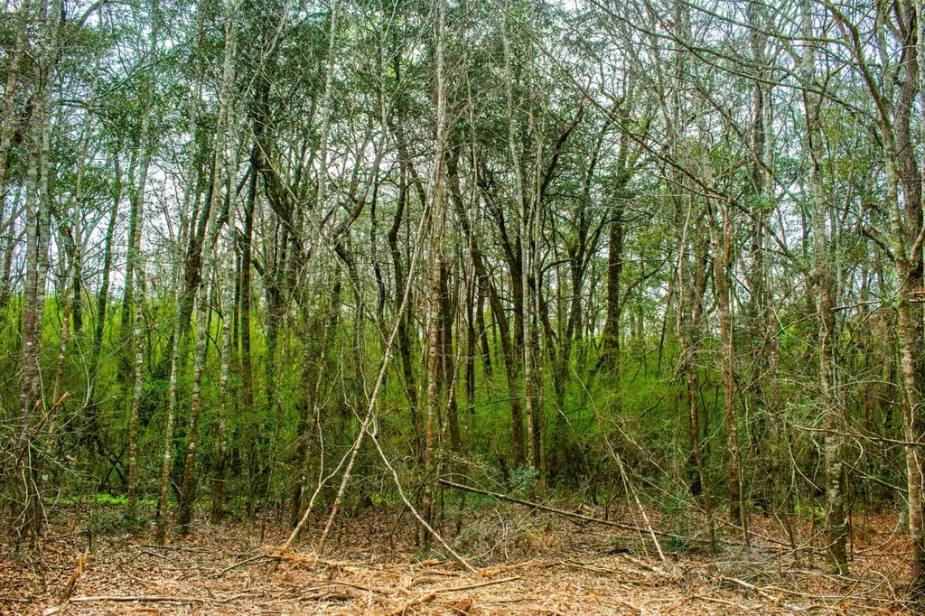 27180 Deer Run Road Opp AL 36467