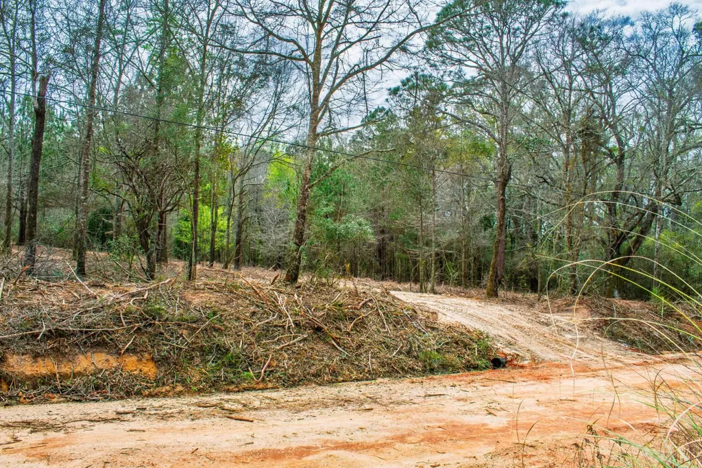 27180 Deer Run Road Opp AL 36467