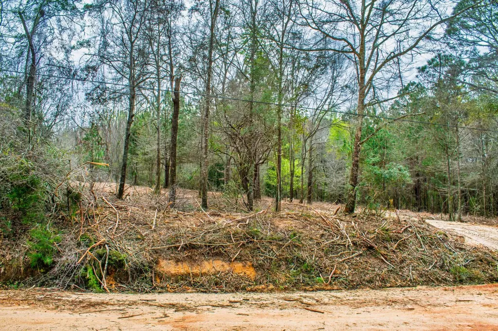 27180 Deer Run Road Opp AL 36467