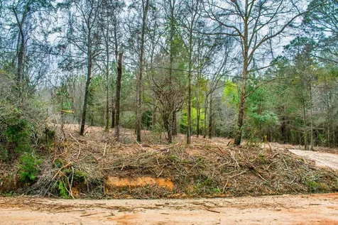 27180 Deer Run Road Opp AL 36467