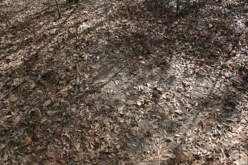85 County Road Prattville AL 36067