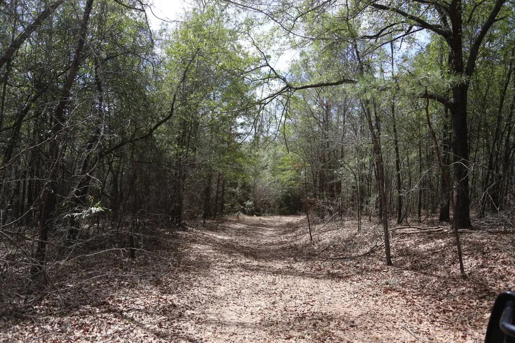 85 County Road Prattville AL 36067