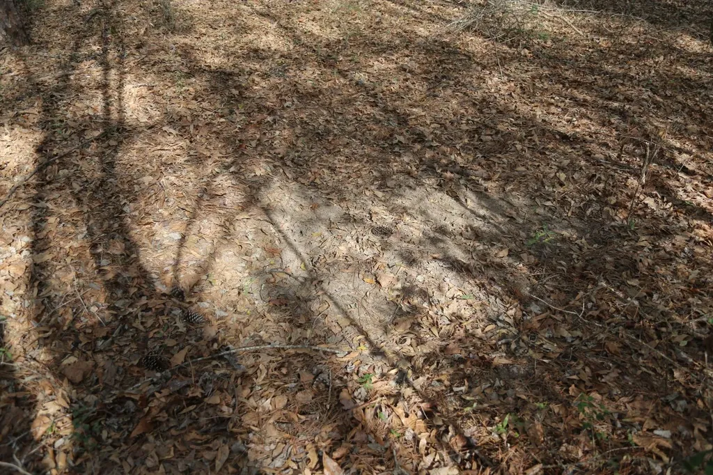 85 County Road Prattville AL 36067