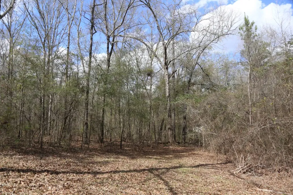 85 County Road Prattville AL 36067