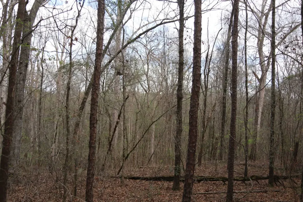 85 County Road Prattville AL 36067