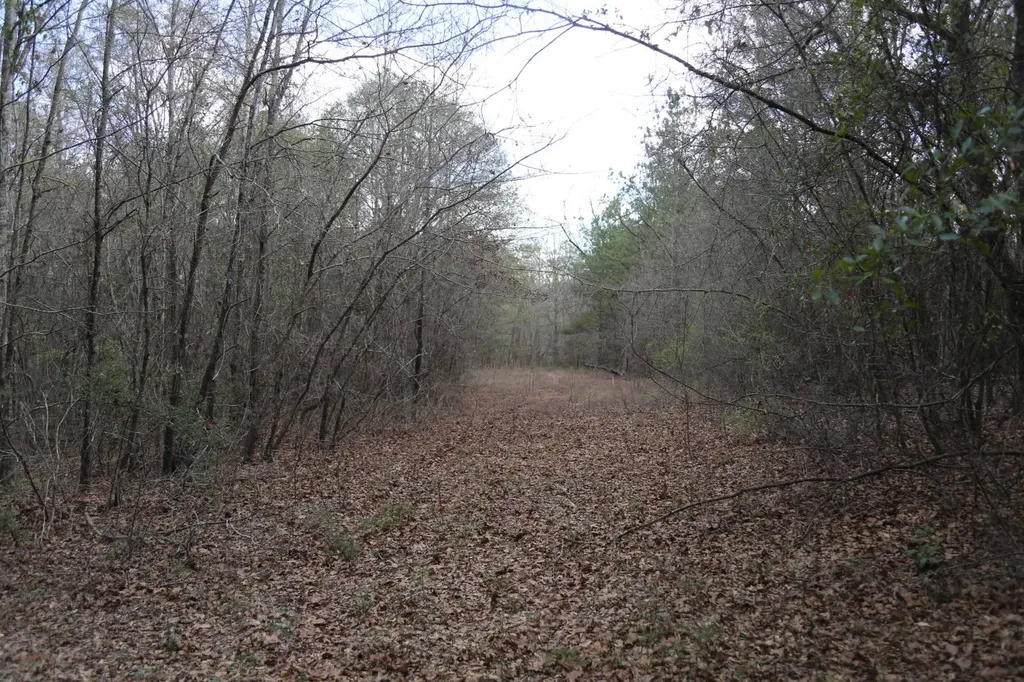 85 County Road Prattville AL 36067