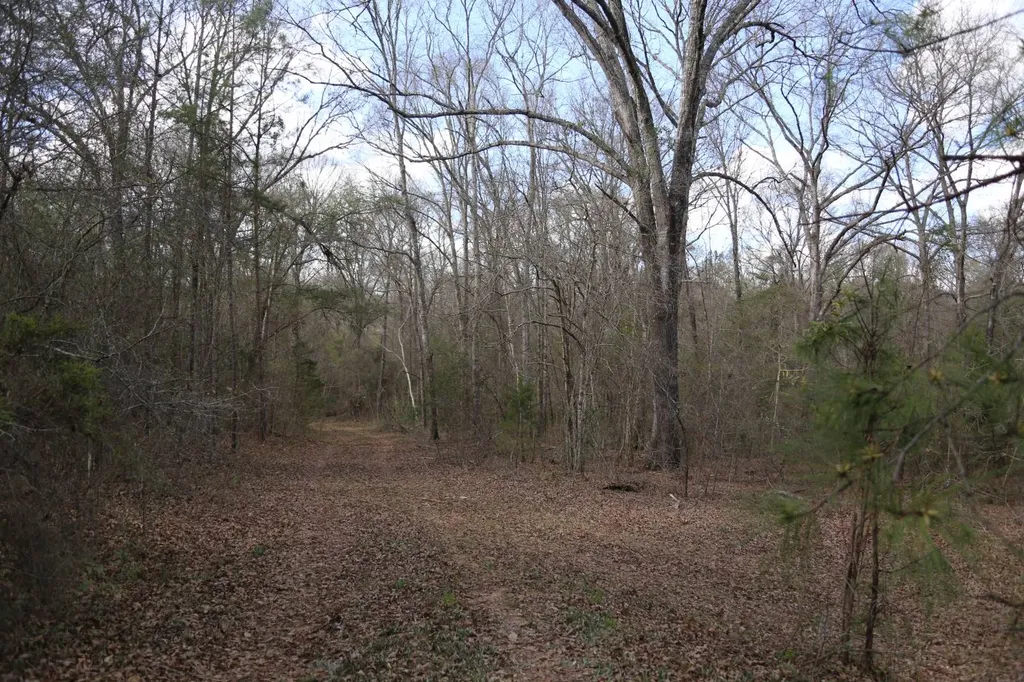 85 County Road Prattville AL 36067
