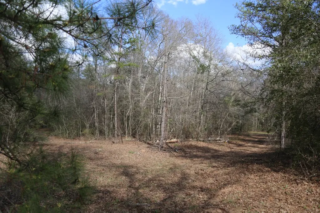 85 County Road Prattville AL 36067