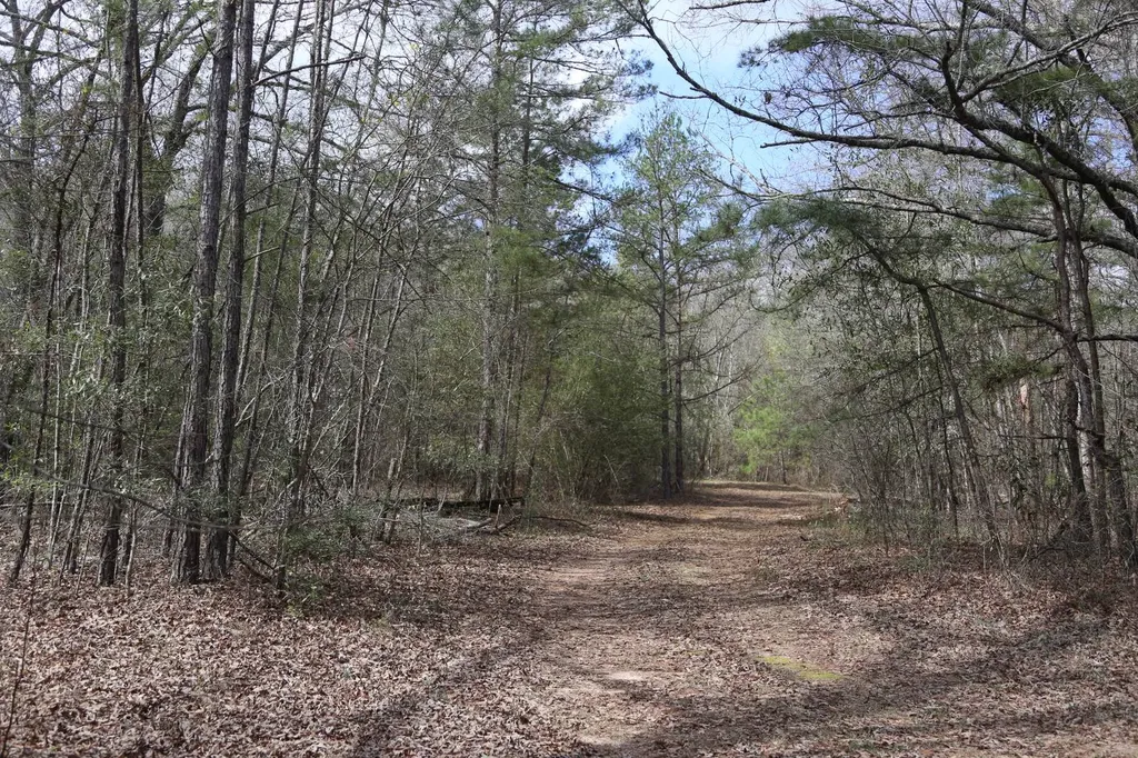 85 County Road Prattville AL 36067