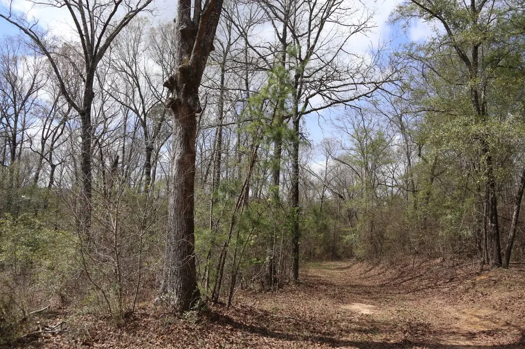 85 County Road Prattville AL 36067
