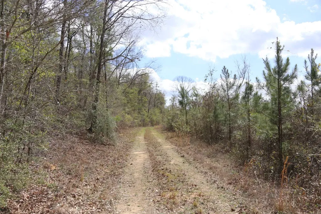 85 County Road Prattville AL 36067