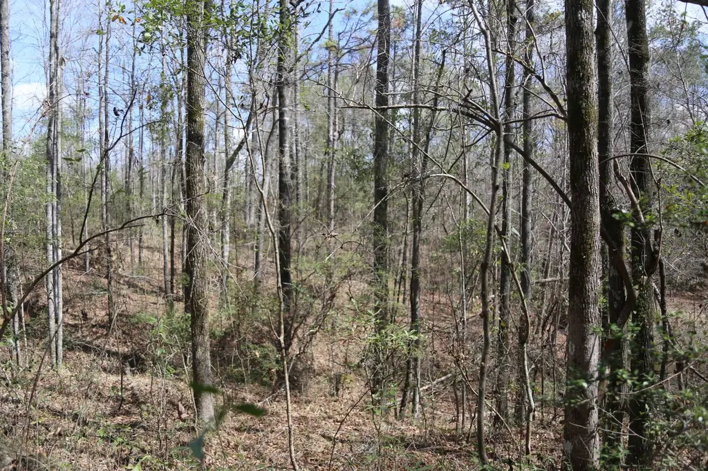 85 County Road Prattville AL 36067