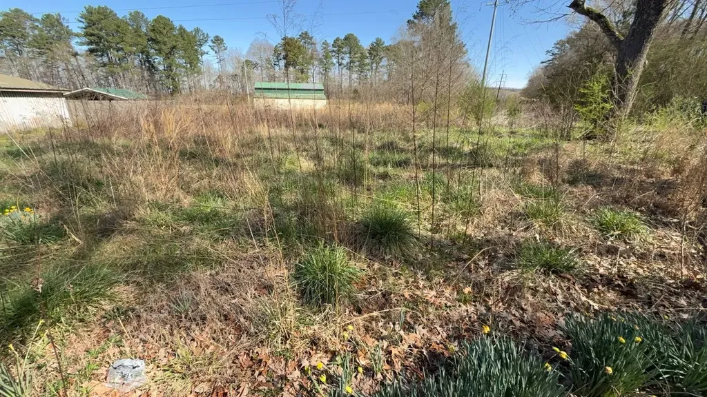 1130 Margerum Road Cherokee AL 35616