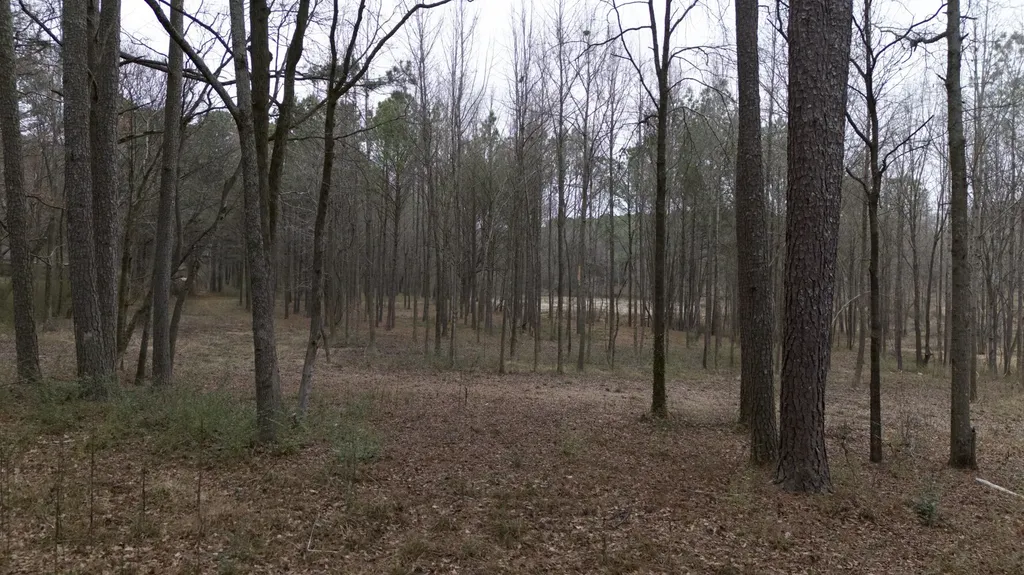 1707 Warnke Road NW Cullman AL 35055