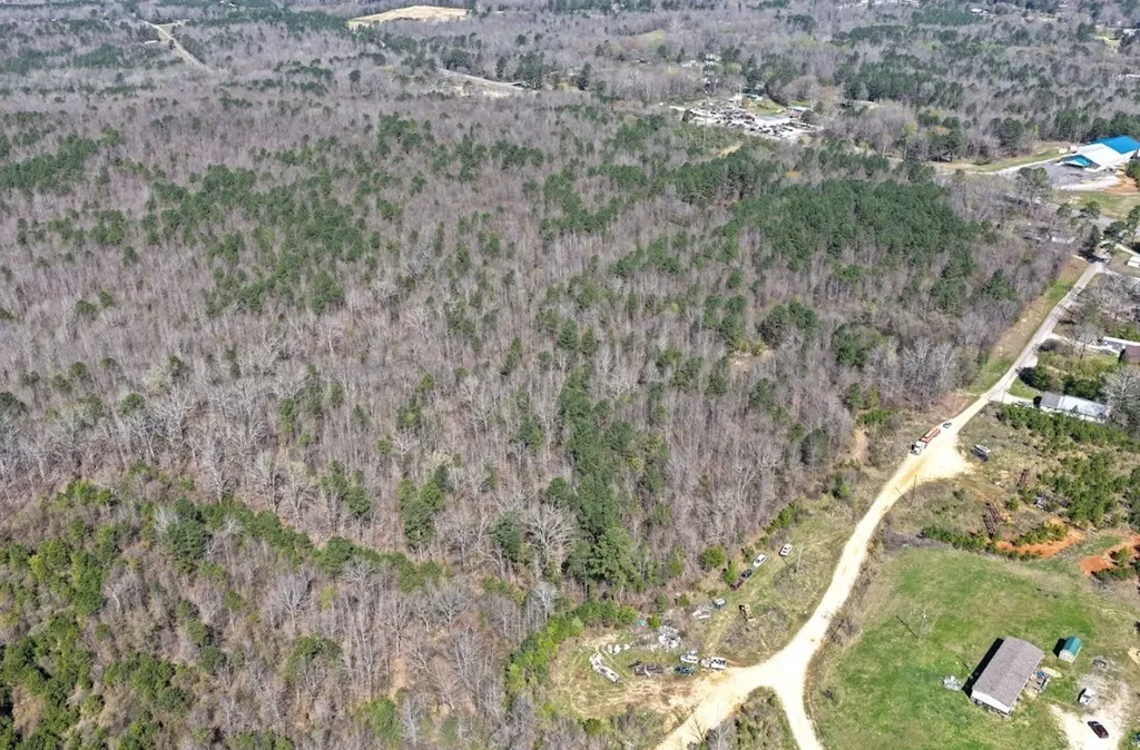 0 Spruce Drive Hamilton AL 35570