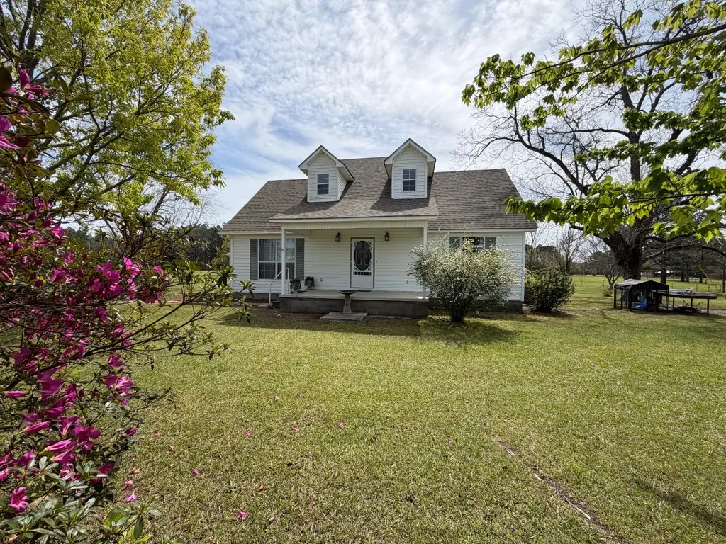 11648 County Road 1 Fruitdale AL 36539