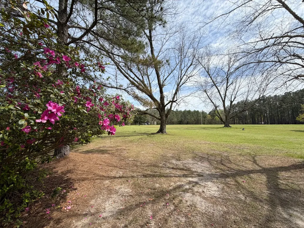 11648 County Road 1 Fruitdale AL 36539
