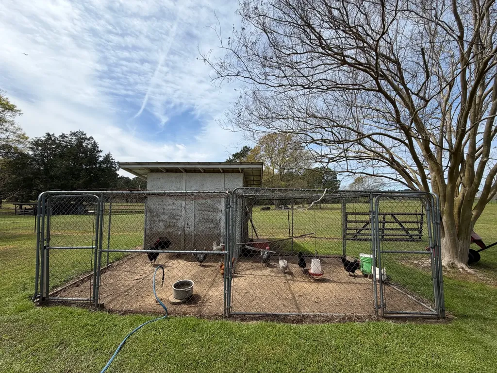 11648 County Road 1 Fruitdale AL 36539