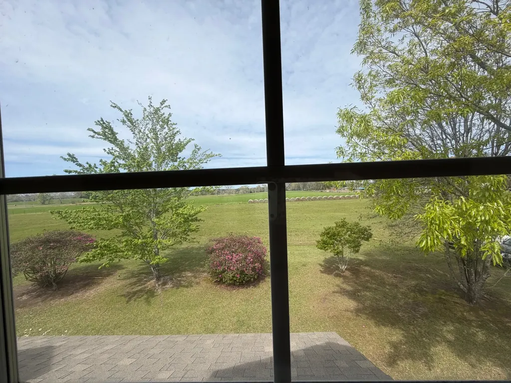 11648 County Road 1 Fruitdale AL 36539