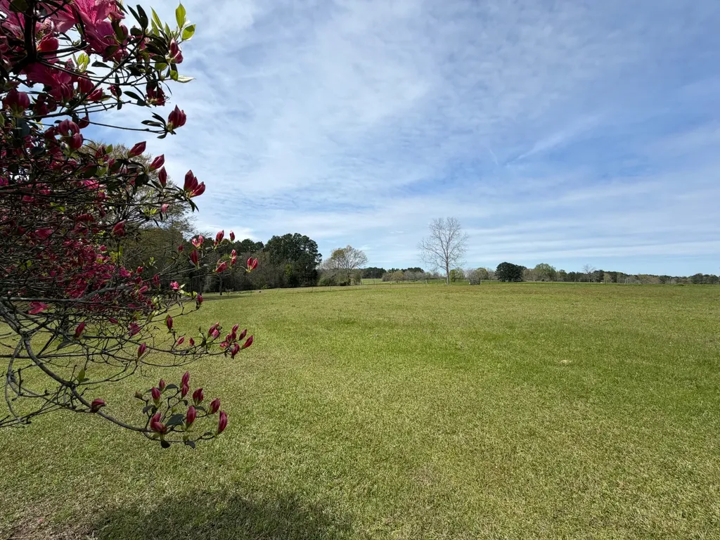 11648 County Road 1 Fruitdale AL 36539