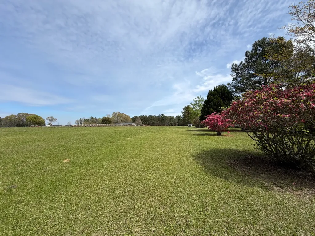 11648 County Road 1 Fruitdale AL 36539