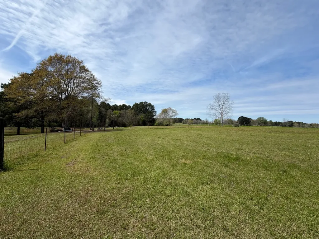 11648 County Road 1 Fruitdale AL 36539