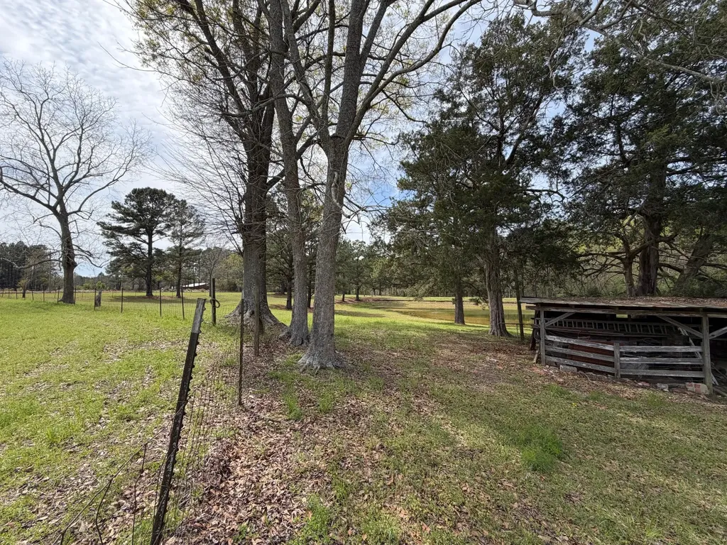 11648 County Road 1 Fruitdale AL 36539