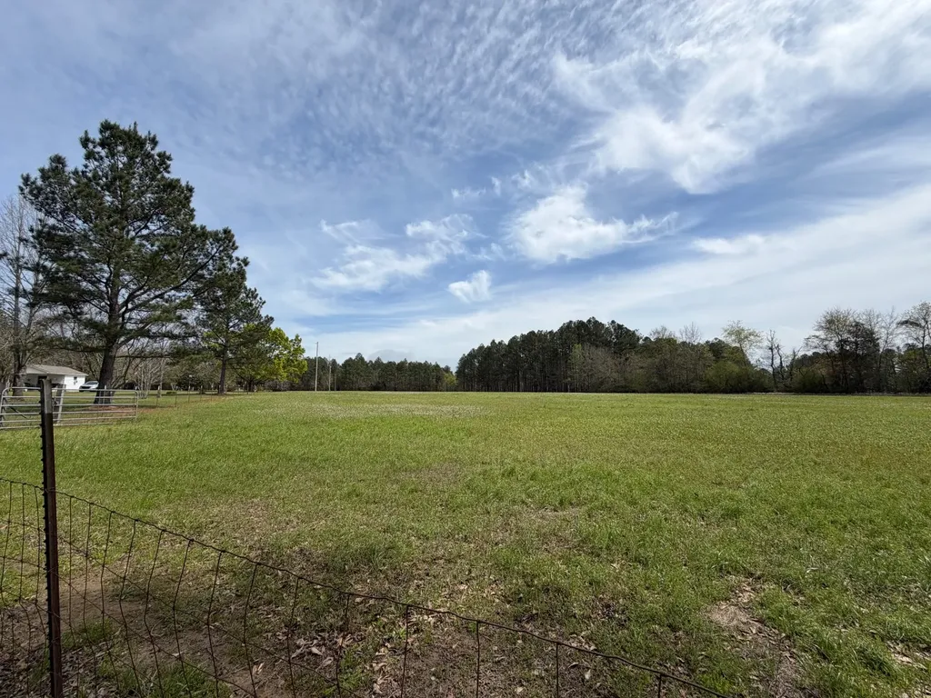 11648 County Road 1 Fruitdale AL 36539