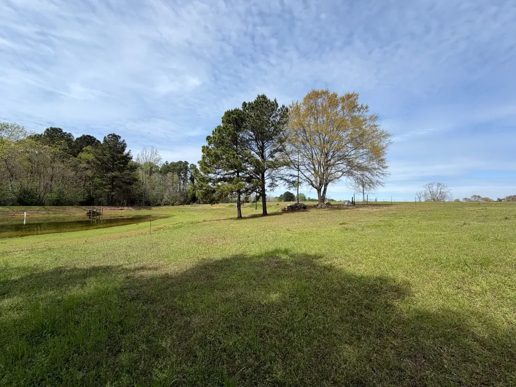 11648 County Road 1 Fruitdale AL 36539
