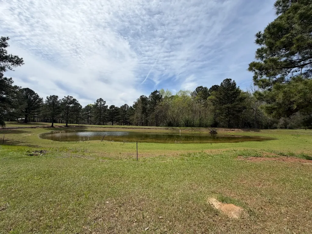 11648 County Road 1 Fruitdale AL 36539