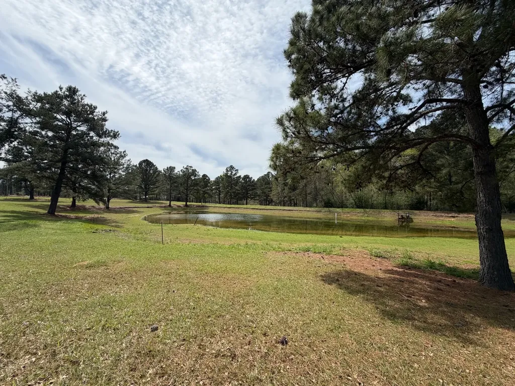 11648 County Road 1 Fruitdale AL 36539