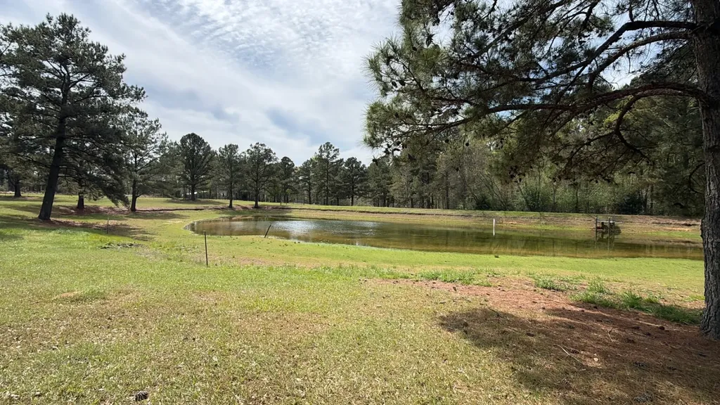 11648 County Road 1 Fruitdale AL 36539