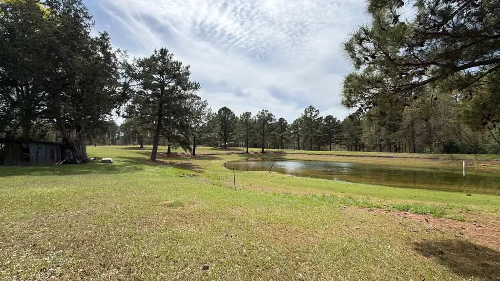 11648 County Road 1 Fruitdale AL 36539