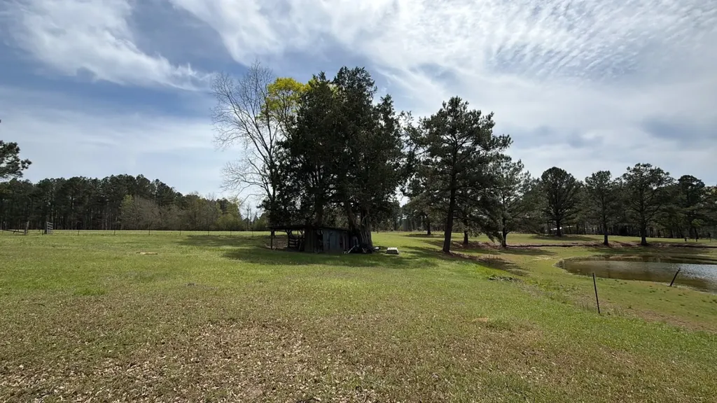 11648 County Road 1 Fruitdale AL 36539