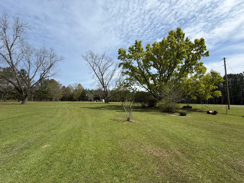 11648 County Road 1 Fruitdale AL 36539