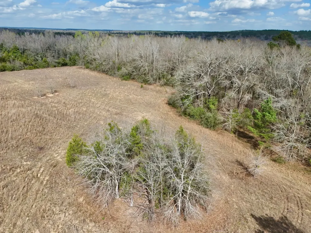 0 County Road 21 Prattville AL 36067