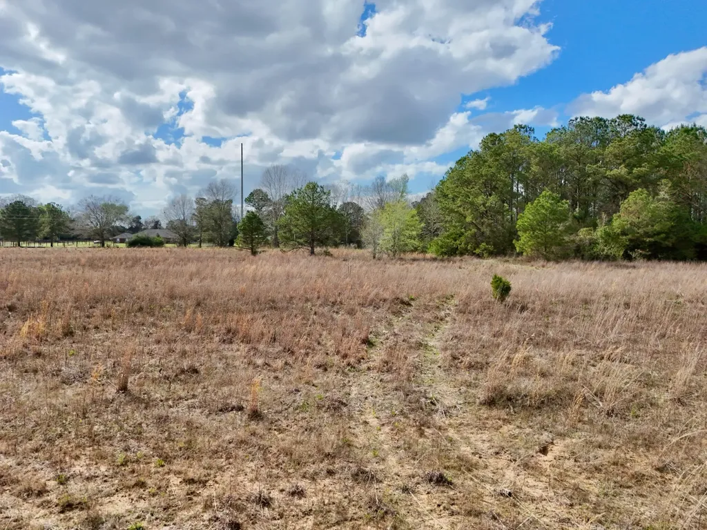 0 County Road 21 Prattville AL 36067