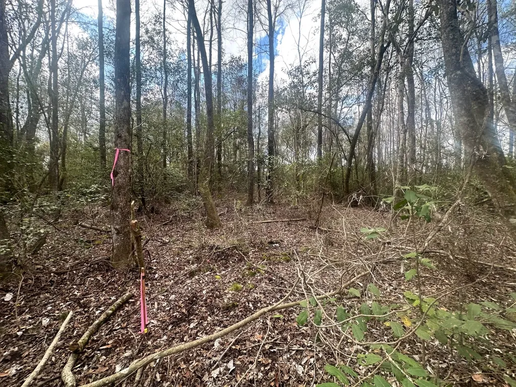 0 County Road 21 Prattville AL 36067