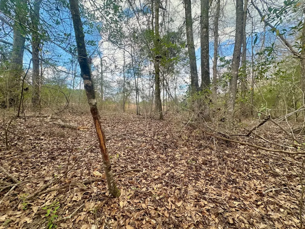 0 County Road 21 Prattville AL 36067