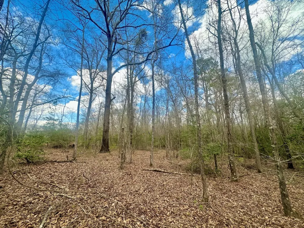 0 County Road 21 Prattville AL 36067