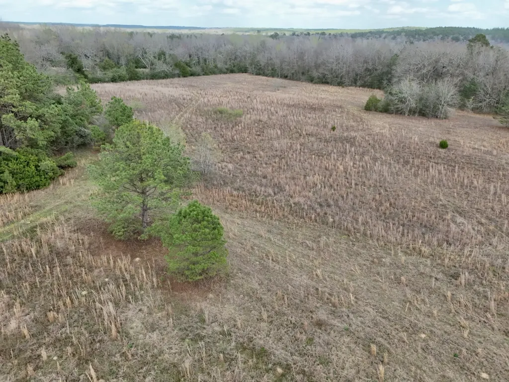 0 County Road 21 Prattville AL 36067
