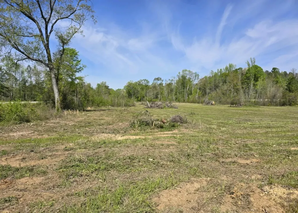Left Of 0 Co Road 337 Maplesville AL 36750