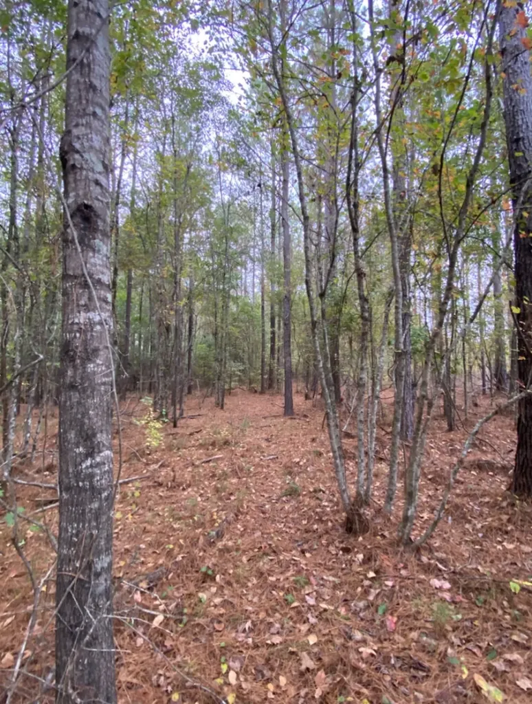 0 Highway 49 Chelsea AL 35043